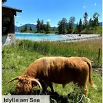 Seeblick Am