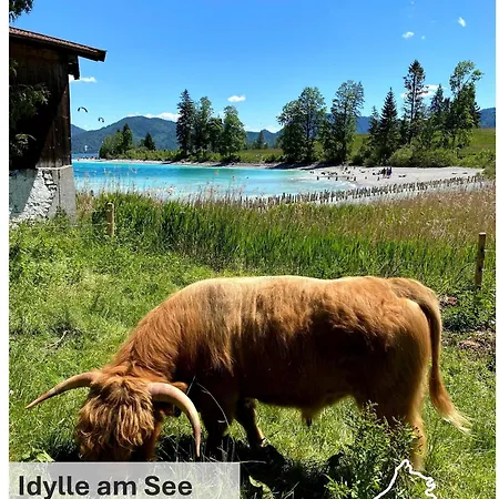 Seeblick Am